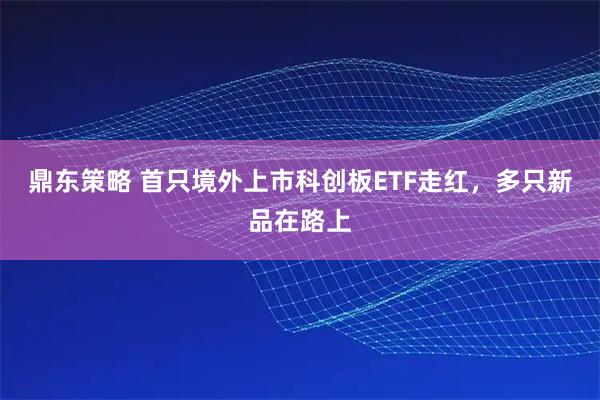 鼎东策略 首只境外上市科创板ETF走红，多只新品在路上