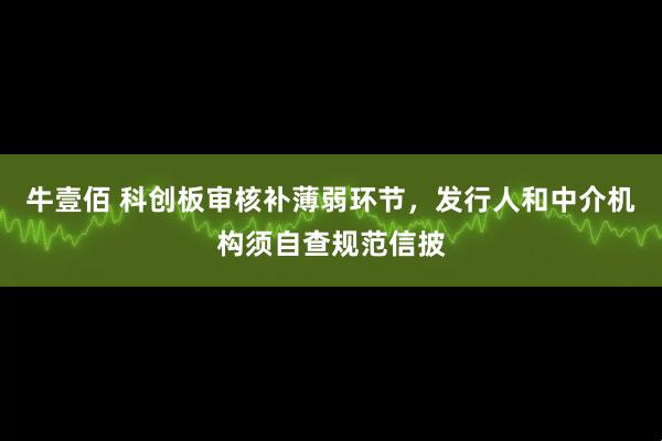 牛壹佰 科创板审核补薄弱环节，发行人和中介机构须自查规范信披