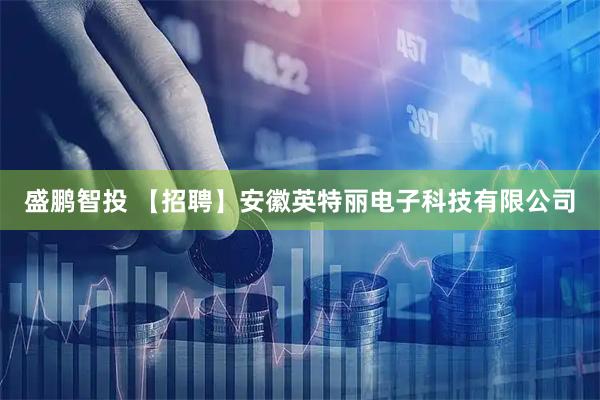 盛鹏智投 【招聘】安徽英特丽电子科技有限公司