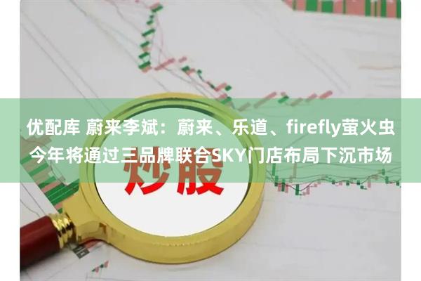 优配库 蔚来李斌：蔚来、乐道、firefly萤火虫今年将通过三品牌联合SKY门店布局下沉市场