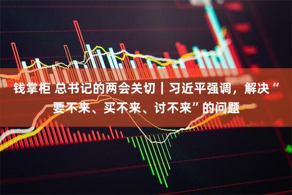 钱掌柜 总书记的两会关切｜习近平强调，解决“要不来、买不来、讨不来”的问题
