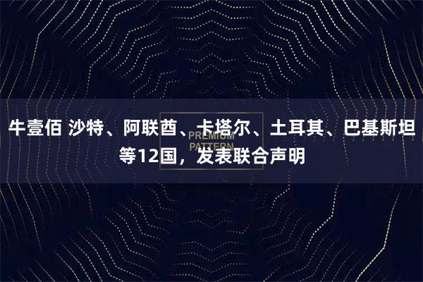 牛壹佰 沙特、阿联酋、卡塔尔、土耳其、巴基斯坦等12国，发表联合声明
