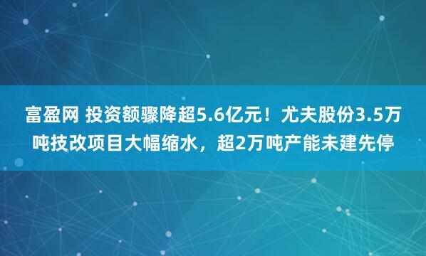 富盈网 投资额骤降超5.6亿元！尤夫股份3.5万吨技改项目大幅缩水，超2万吨产能未建先停