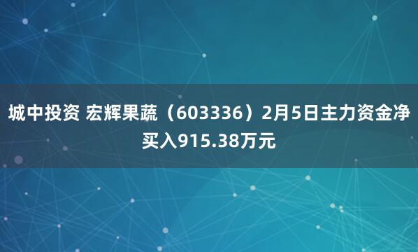 城中投资 宏辉果蔬（603336）2月5日主力资金净买入915.38万元