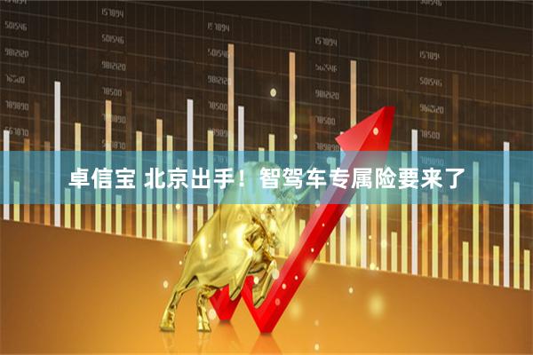 卓信宝 北京出手！智驾车专属险要来了