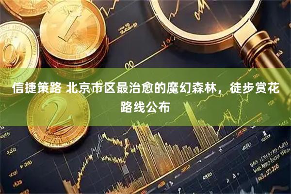 信捷策路 北京市区最治愈的魔幻森林，徒步赏花路线公布