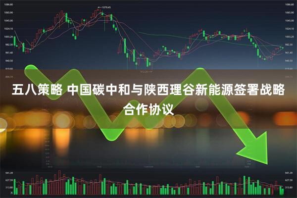 五八策略 中国碳中和与陕西理谷新能源签署战略合作协议