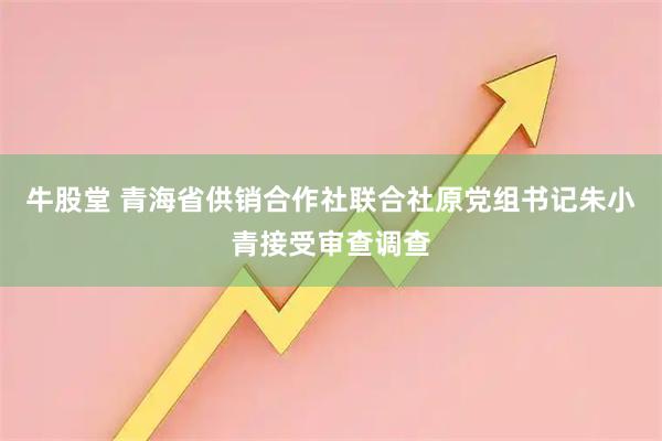 牛股堂 青海省供销合作社联合社原党组书记朱小青接受审查调查