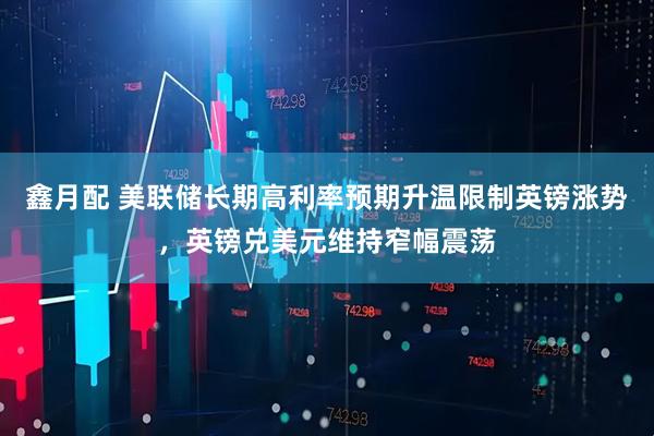 鑫月配 美联储长期高利率预期升温限制英镑涨势，英镑兑美元维持窄幅震荡