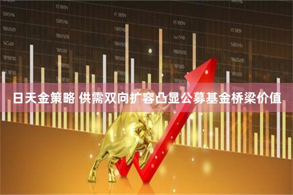 日天金策略 供需双向扩容凸显公募基金桥梁价值