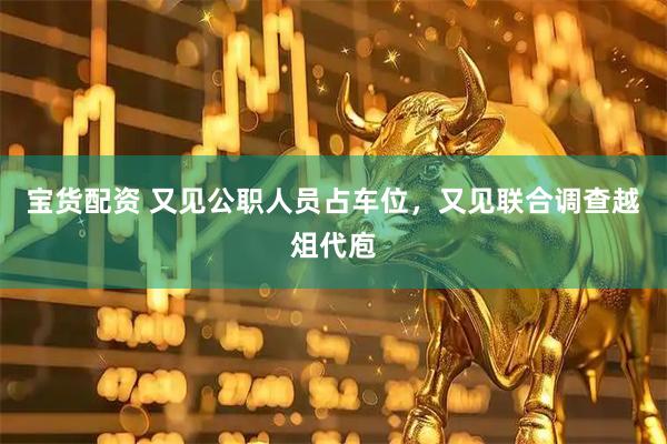 宝货配资 又见公职人员占车位，又见联合调查越俎代庖
